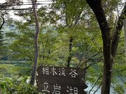 kPĂ郉C_[̗΂̓eʐ^1