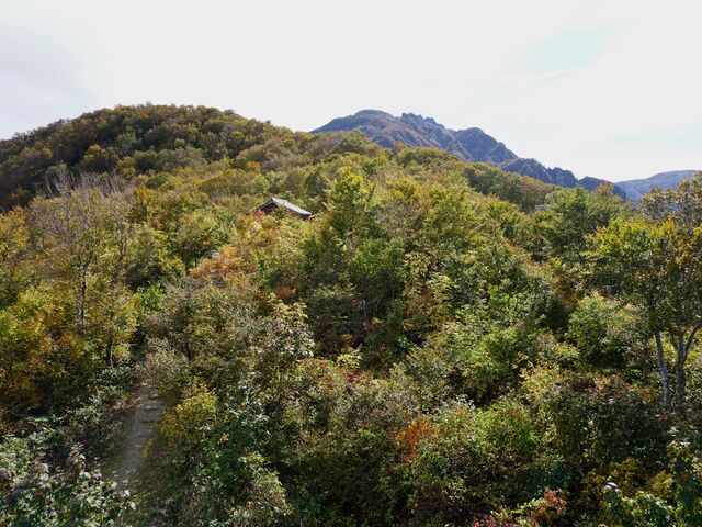 �W�]�䂩�猩�����C�R����_�Z�������C�R�X�L�[��