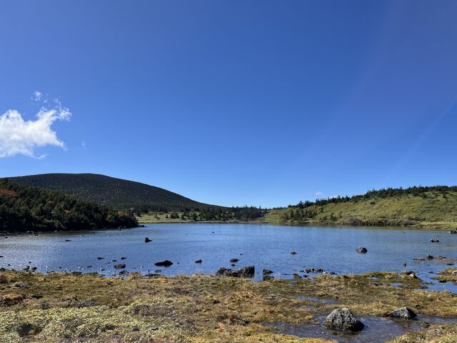 �R�X�Ɉ͂܂��_����