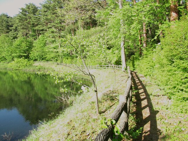 r̂܂ɂ͗VĂ܂B_听r