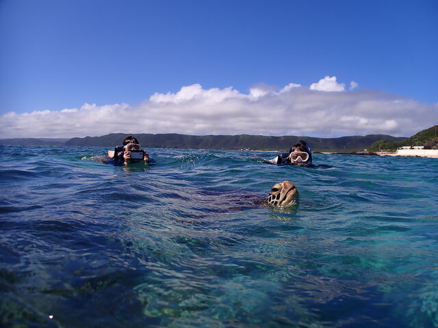 ����o�����E�~�K��_�}�������B���b�W����