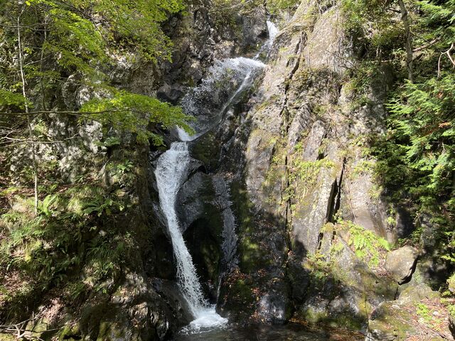 WOUȎie̒ŁA1Eɉ֔яogbL[Ȉi_܂̑