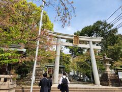 ̂肳̐jj_Ђւ̓eʐ^1