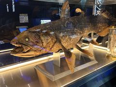 ꂭ̏Í`[Cف`V[JXE~[WA`ւ̓eʐ^1