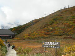 GMK[PQ̔AyCւ̓eʐ^1