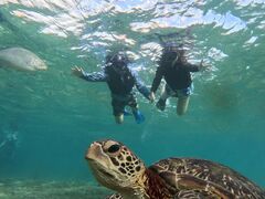 ���̂��₳��̃I�[�X���[�V���m�[�P���{�Ó��ւ̓��e�ʐ^1