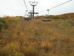 GMK[PQ̔AyCւ̓eʐ^1