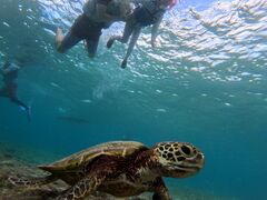 ݁[nico {Óւ̓eʐ^1