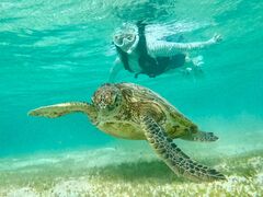 肳OCEAN LIFEւ̓eʐ^1