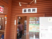 gV[̓̉w 㓪 Y̓eʐ^1