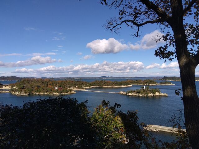 �����R����̒��]�A_�����R�i���ʖ��������j