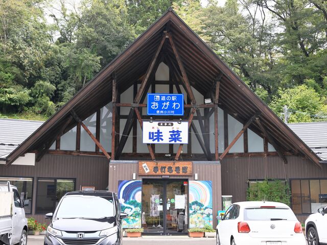 ���ʓ����_���̉w�@������