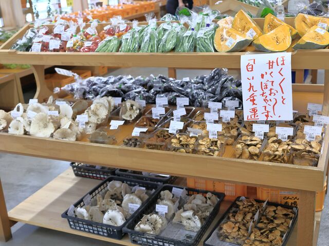 �V�N�Ȗ�ؗ�_���̉w�@������