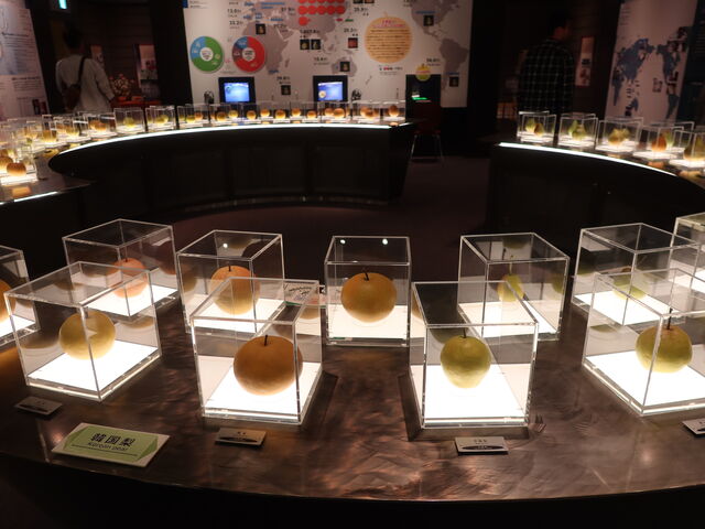 yosshy̒\ILOف@Ȃق̓eʐ^5