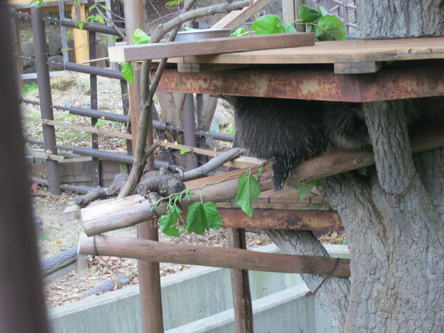 }AV񂪋܂Ă܂c
ȂłȂƂɂ́H_RA