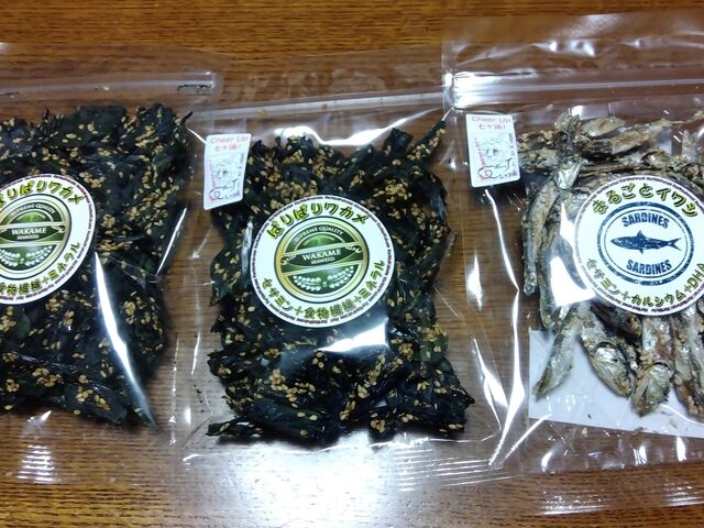 񂳂̎lό𗬃Z^[̓eʐ^1