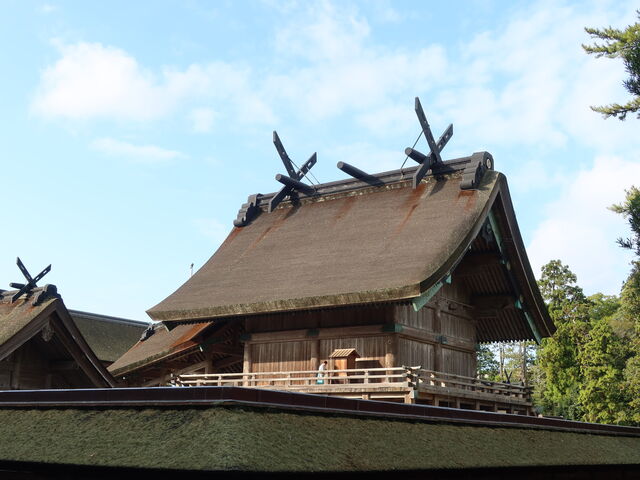 ���w������_�o�_��Ќ�{�a