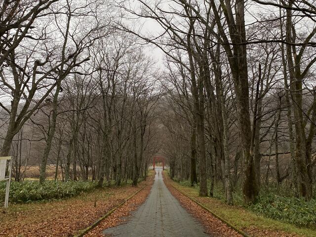 ���_�Ђ͕K��_��E����