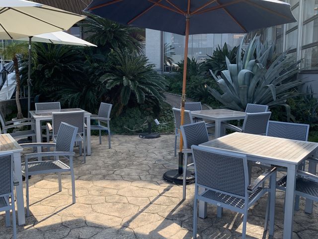 �e���X�Ȃ̃����`_���]���e���X�V��