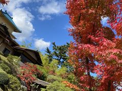 gA񂳂̔pقւ̓eʐ^1