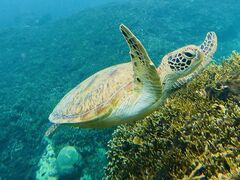 ܂Ȃ񂳂nico {Óւ̓eʐ^1