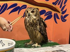 ݂Ƃ̃ANAtHXg@-̐X-ւ̓eʐ^1