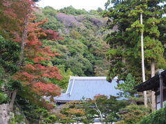 �j�R����񂳂�̉~�o���ւ̓��e�ʐ^1