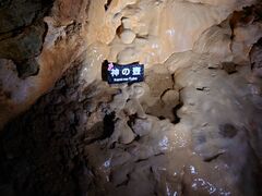 ԂƂ񂳂̗͓ւ̓eʐ^1