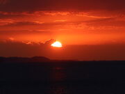 yosshy̎Η[X|bg̓eʐ^3