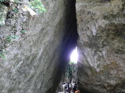 �Ђ�肳��̍֏��Ԃ̓��e�ʐ^1