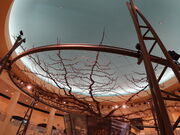 yosshy̒\ILOف@Ȃق̓eʐ^4