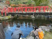 䂩񂱂̖n_LO Ή̓eʐ^1