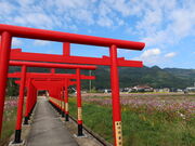 yosshÿÈ_Ђ̓eʐ^3