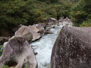 yosshy̋S̐k̓eʐ^10