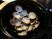 yosshy̋G߂̕@U̓eʐ^4