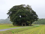 yosshy̏_Ёiq_Ёj̓eʐ^1