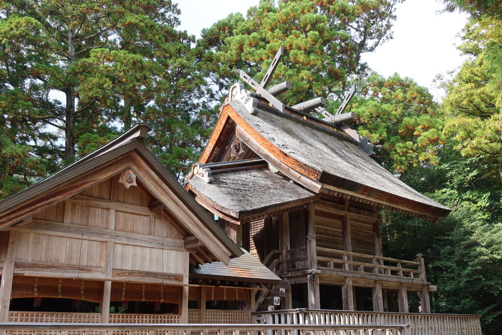 彫刻 鑿 社寺 台湾鑿 50本セット （這裡不輸京都喔〜 覺得很適合拍網美 