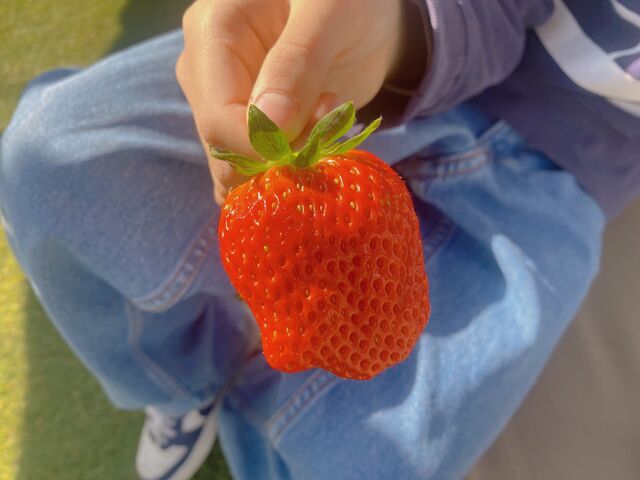 �������Ȃ�����_goone5