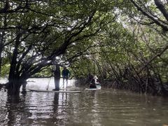 ˂̐Ί_ ADVENTURE PiPiւ̓eʐ^2