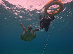 bL[CHURA{Óւ̓eʐ^1