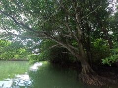 ҁ[̐Ί_ ADVENTURE PiPiւ̓eʐ^1