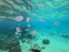 񂳂̖` ꑍAEghAcA[Xւ̓eʐ^1