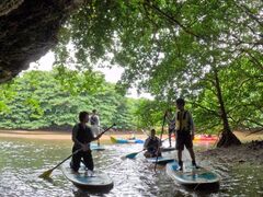 Mack̐Ί_ ADVENTURE PiPiւ̓eʐ^1