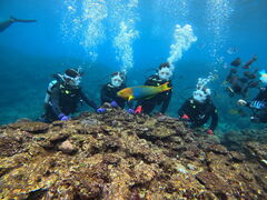 肳̃}Nu Gigiւ̓eʐ^1