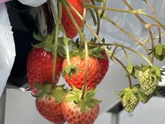 Bbc̃AOX^[XyVւ̓eʐ^1