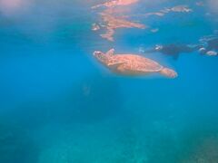 Pa̐Ί_ ADVENTURE PiPiւ̓eʐ^1