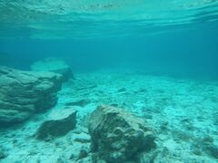 ̂Ȃ̐Ί_ ADVENTURE PiPiւ̓eʐ^1