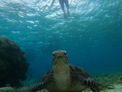 炳nico {Óւ̓eʐ^1