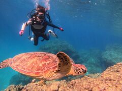 \tgỸRY~bNA[Xւ̓eʐ^1