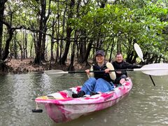 ݂킳̐Ί_ ADVENTURE PiPiւ̓eʐ^1